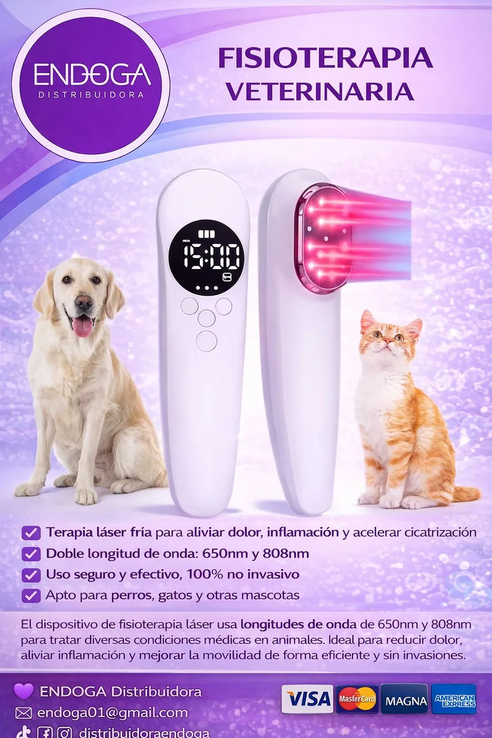 Equipo de fisioterapia veterinaria, Línea Veterinaria de Endoga